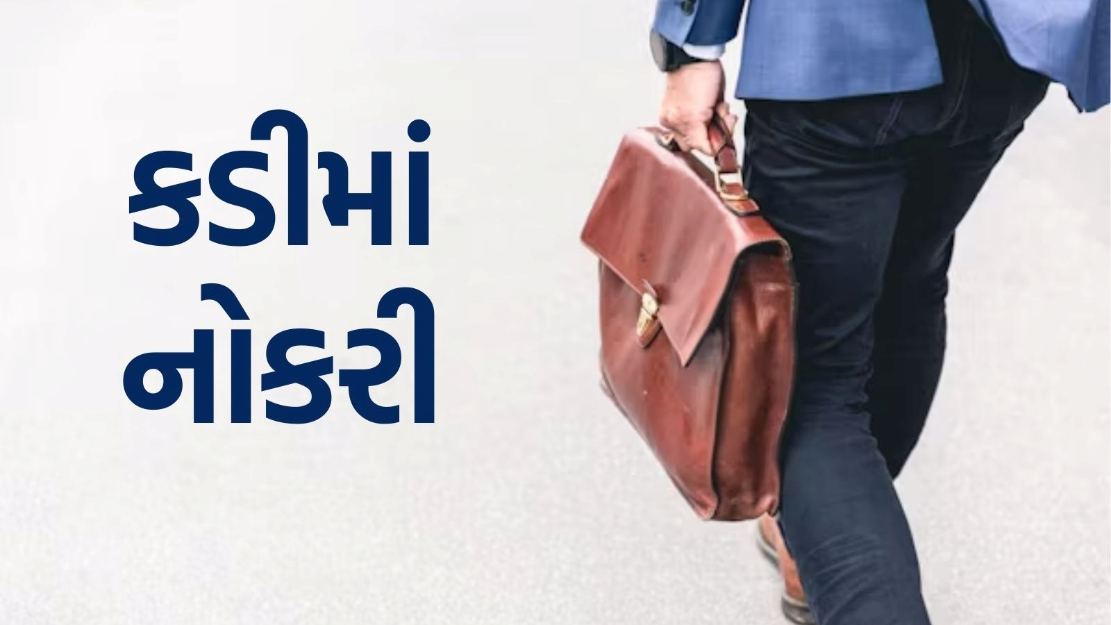 Kadi Nagarpalika Recruitment 2025